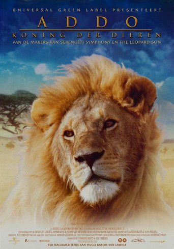 Addo - The African King Poster