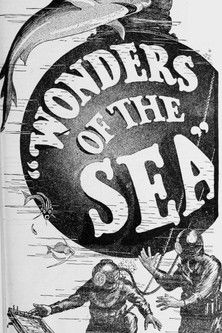 Wonders of the Sea Poster