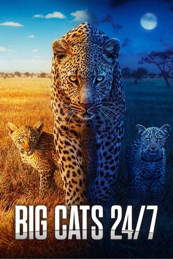 Big Cats 24/7 Poster