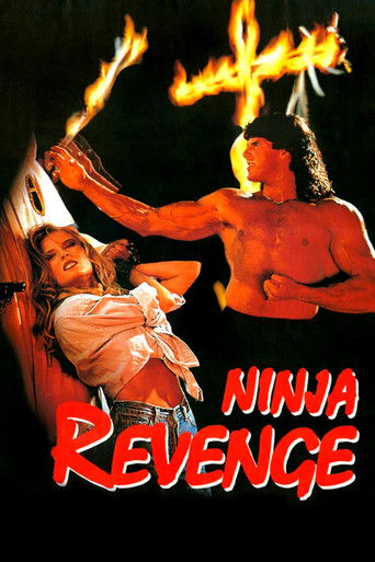 Ninja Vengeance Poster
