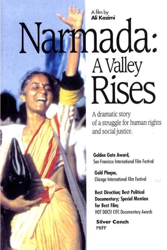 Narmada: A Valley Rises Poster