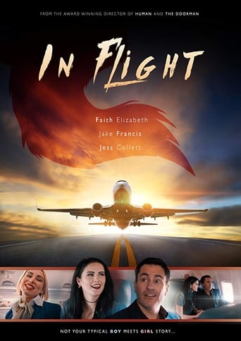 In Flight Poster