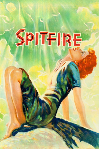 Spitfire Poster