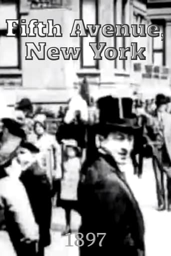 Fifth Avenue, New York Poster