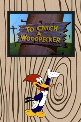 To Catch a Woodpecker Poster
