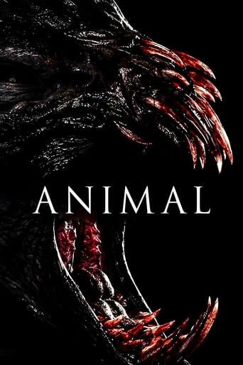 Animal Poster