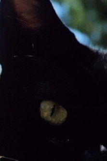 In a Summer Garden Poster