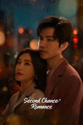 Second Chance Romance Poster