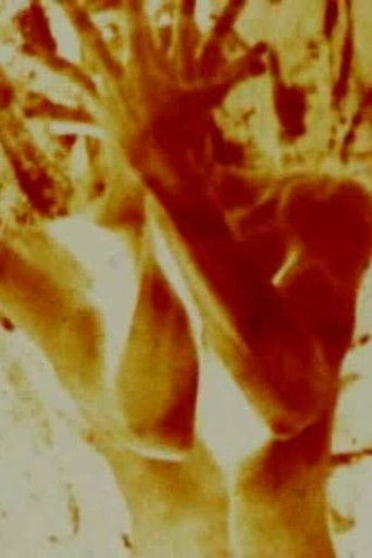 The Red Thread Poster