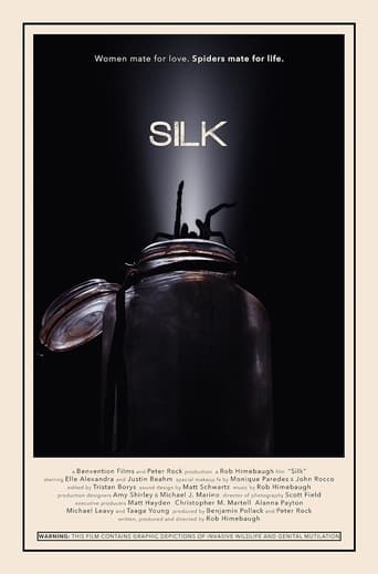 Silk Poster