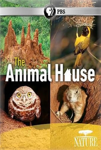 The Animal House Poster