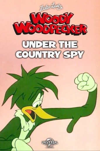 Under the Counter Spy Poster