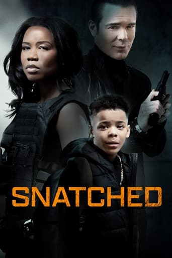 Snatched Poster
