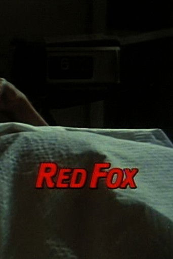 Red Fox Poster