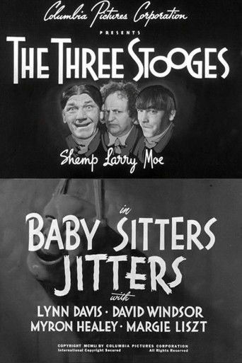 Baby Sitters Jitters Poster