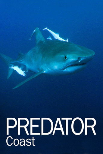 Predator Coast Poster