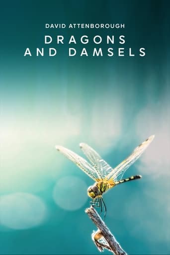 Dragons and Damsels Poster