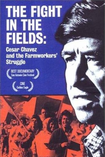 The Fight In The Fields Poster
