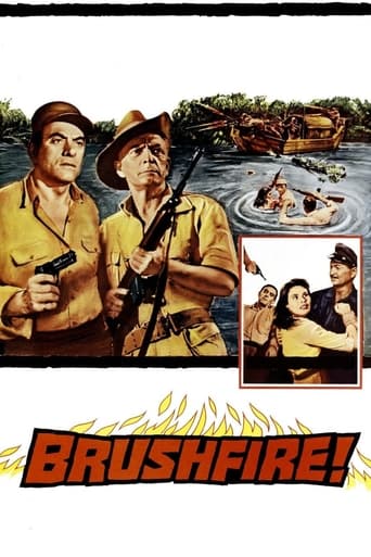Brushfire Poster