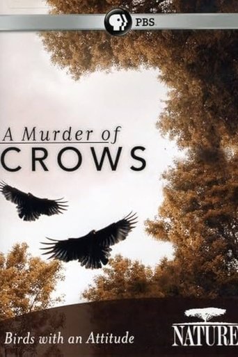 A Murder of Crows Poster