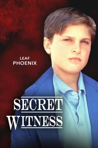 Secret Witness Poster
