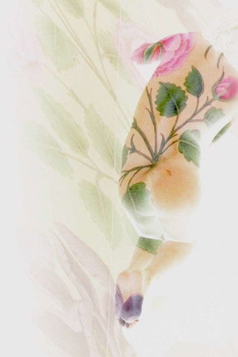 Port Saïd, Santa Cruz, Sarmad Kashani Poster