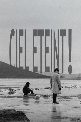 Ciel éteint ! Poster