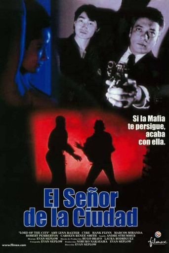 Lord of the City Poster