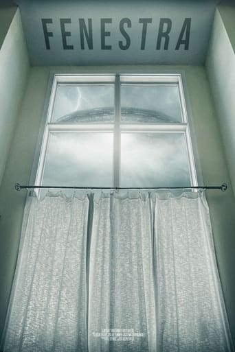Fenestra Poster