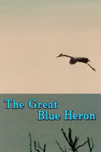 The Great Blue Heron Poster