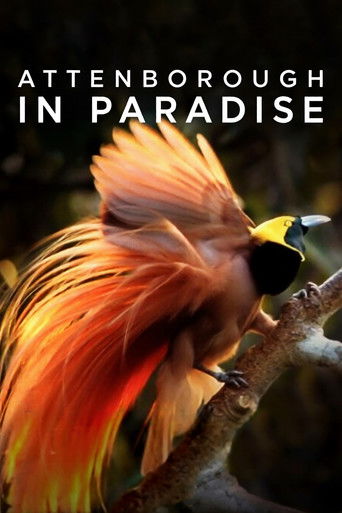 Attenborough in Paradise Poster