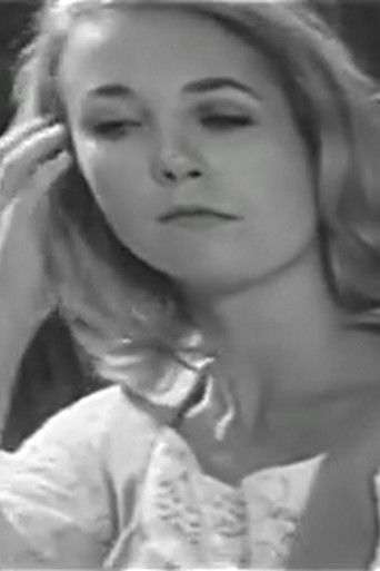 Where's the Bus? Poster