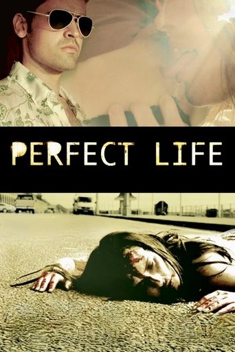 Perfect Life Poster