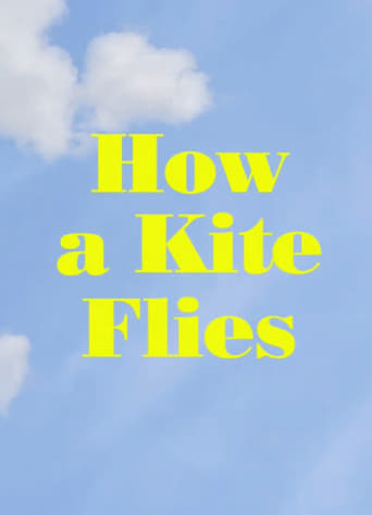 How a Kite Flies Poster