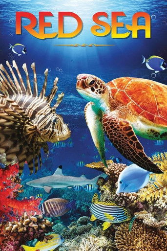Red Sea Poster