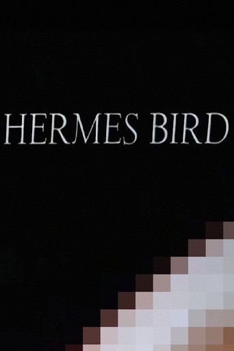 Hermes Bird Poster