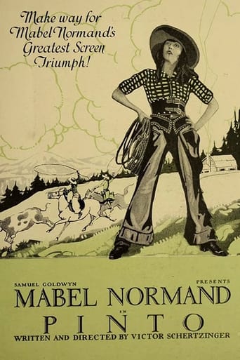 Pinto Poster