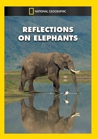 Reflections on Elephants Poster