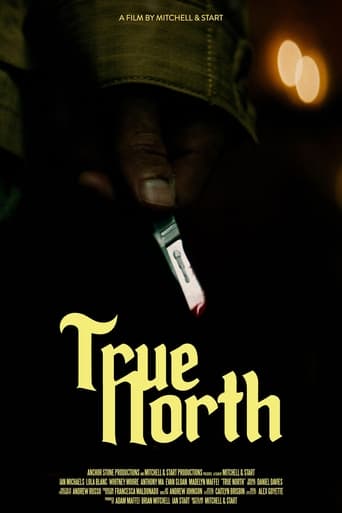 True North Poster