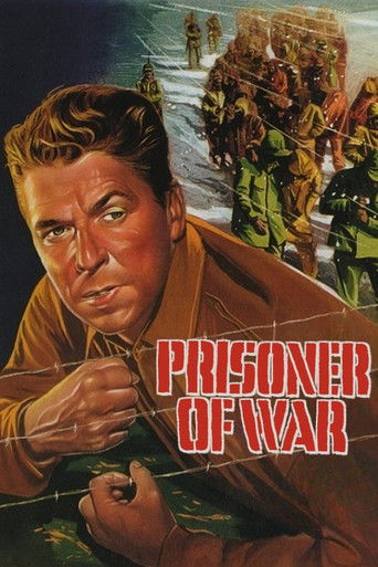Prisoner of War Poster