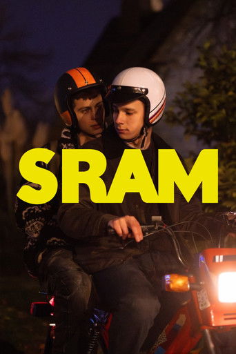 SRAM Poster
