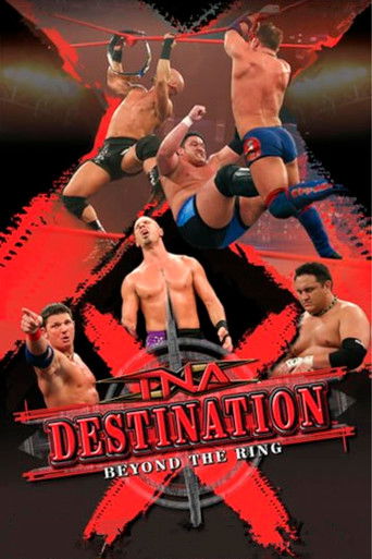 TNA Destination X 2006 Poster