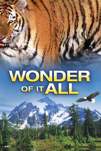 Wonder of It All Poster