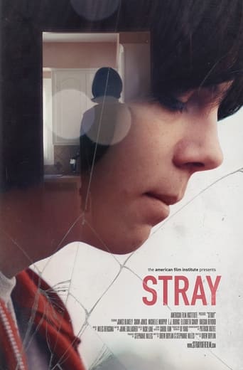 Stray Poster