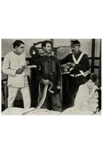 The Rattlesnake Poster