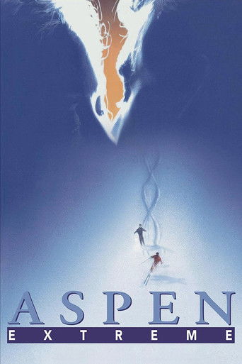 Aspen Extreme Poster