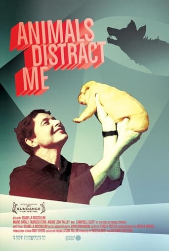 Animals Distract Me Poster