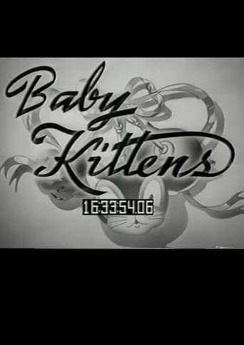 Baby Kittens Poster