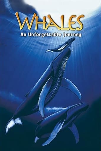 Whales: An Unforgettable Journey Poster