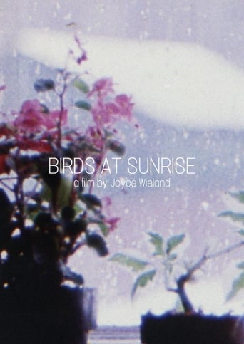 Birds at Sunrise Poster